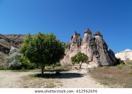 View of famous sandy fairy chimneys in Pasabagi Monks Valley, Cappadocia area, on bright blue sky background.