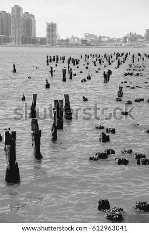 Wooden Logs peeking from the Hudson water surface, with New-Jersey's skyline in the background.