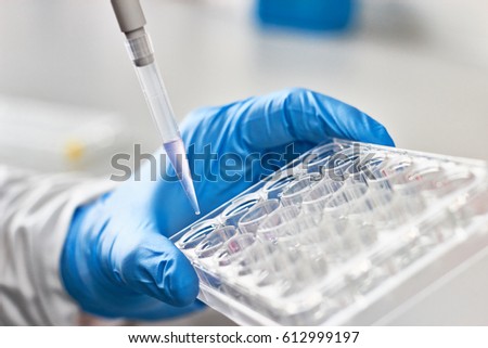 Scientist pipetting liquids for research Royalty-Free Stock Photo #612999197