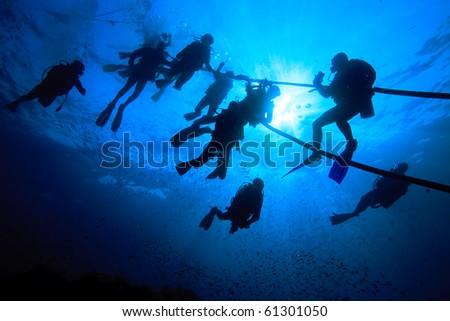 A group of diver doing safety stop near sea surface Royalty-Free Stock Photo #61301050