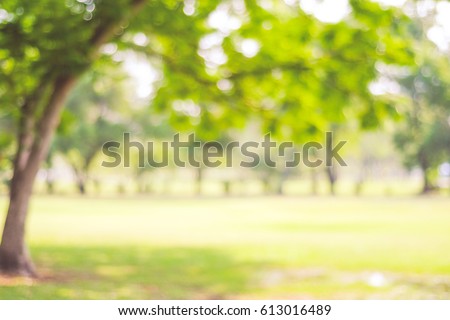 Blur park garden tree in nature background, blurry green bokeh light outdoor in summer background Royalty-Free Stock Photo #613016489