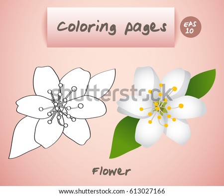 Coloring book pages for kids : Flower : Vector Illustration