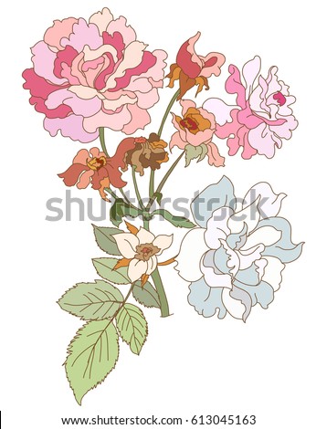 Hand drawn and painting design Fairy Rose or Pygmy Rose , colorful tropical Flower,Pink rose