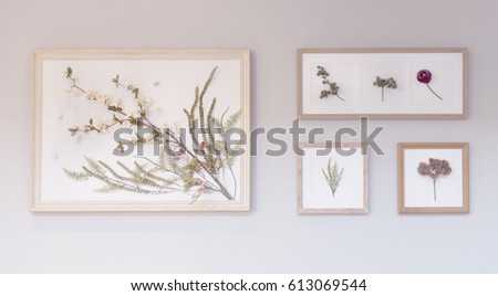 Flowers Picture in Photo Frame Hanging on the Wall