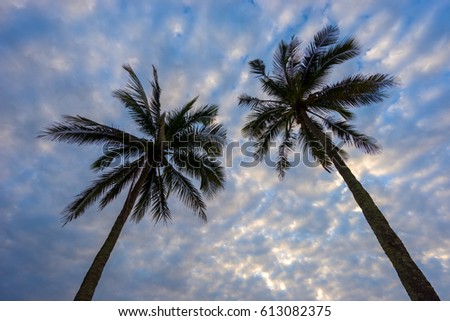 Sunset Beach with palm trees and beautiful sky landscape. 