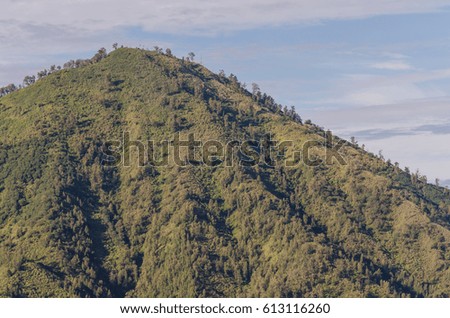 green mountain in bali indonesia