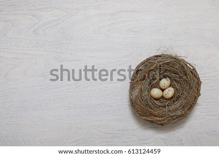 Easter Eggs in nest and wooden background