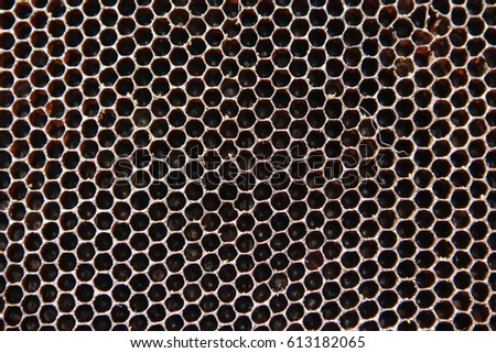 Honeycomb cells