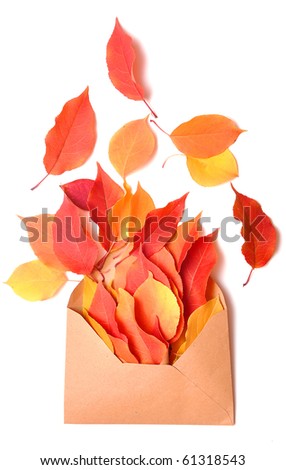 autumn letter - an envelope and autumn leaf on white