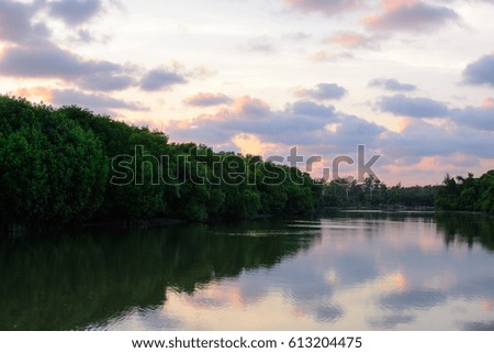 The river in sunset time.