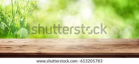 Radiant green spring background panorama with grass in front of a wooden table for a concept