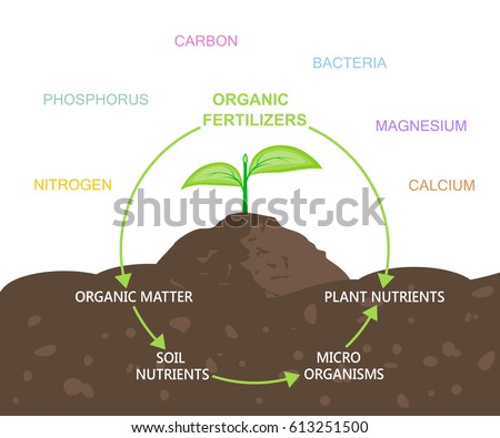 Diagram of nutrients in organic fertilizers. Plant and soil. Vector illustration flat design Royalty-Free Stock Photo #613251500