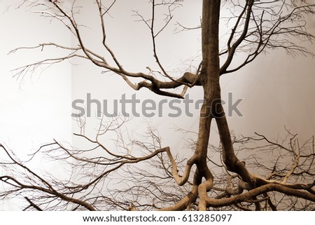 Dry branches hanging upside down Royalty-Free Stock Photo #613285097