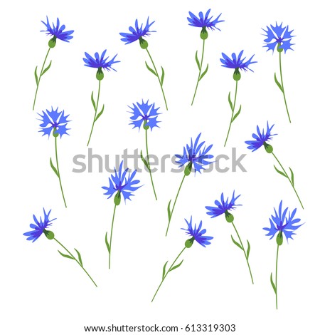 Floral background. Abstract blue flowers on white background.