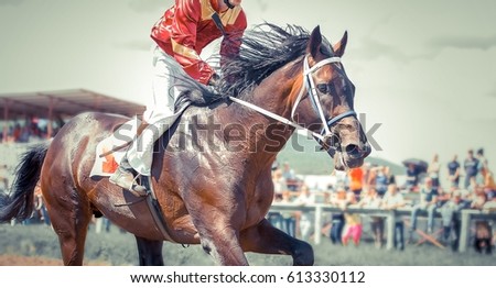 racing horse portrait in action Royalty-Free Stock Photo #613330112