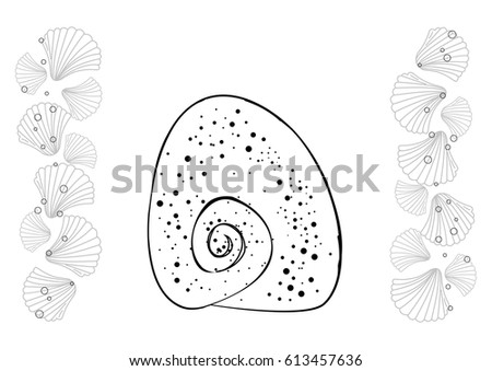 seashells hand draw. Coloring page seashell. Black and white vector illustration.