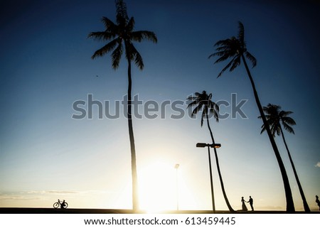 Silhouettes of newlyweds standing between palms on ocean shore