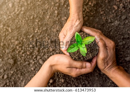 Seedlings are growing in the nursery bag. As the hands of the old woman, the hands of the old man and the hands of young man are about to be planted in the fertile soil. Royalty-Free Stock Photo #613473953