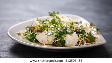 Raw Sprouts Microgreens.Fresh Green  Salad with mozzarella,cheese.Concept of Healthy Food.Copy space for Text. selective focus.
