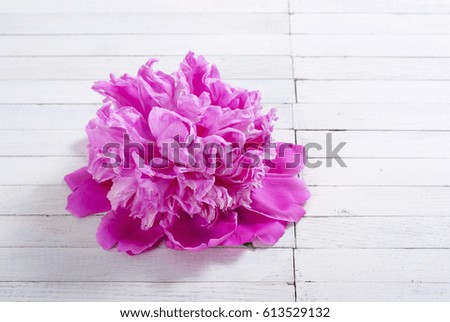 pink peony flower on white wooden background