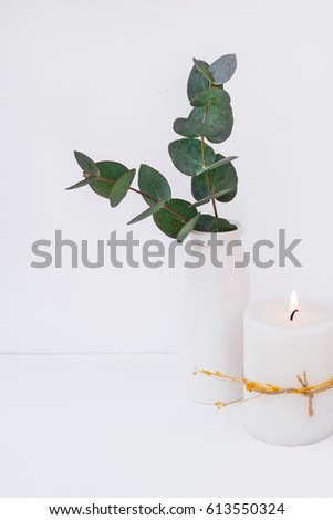 Branches of green silver dollar eucalyptus in ceramic vase, burning candle on white background, styled image, interior design, blogging, social media