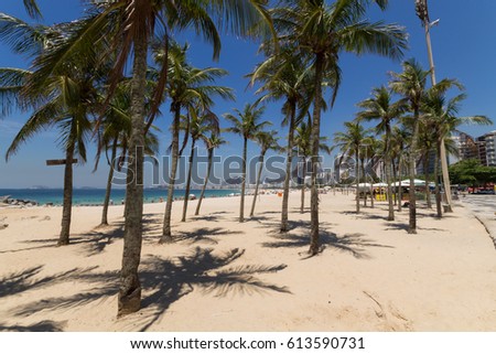 Coconut trees on Leme beach in rio de janeiro Brazil