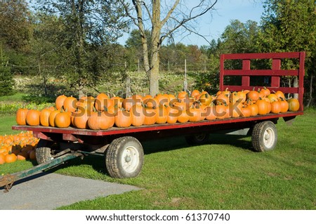 Trailer of pumpkins