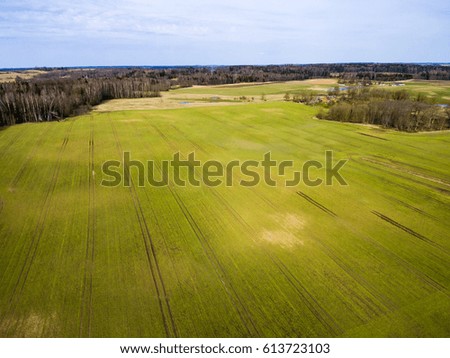 drone image. aerial view of rural area with freshly green fields, country roads and tractor tracks