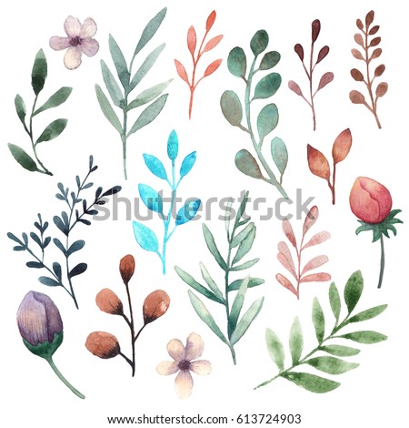 Floral Watercolor Elements (Sprigs and Flowers)
