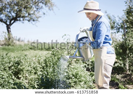 Woman watering crop in fields