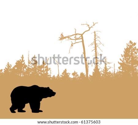 vector silhouette bear