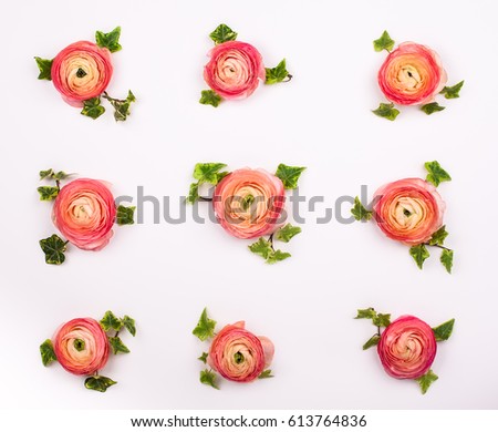Floral pattern made of fresh pink buttercups  on white background. Flat lay, top view