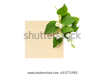branch of blossoming jasmine and blank kraft card isolated on white background
