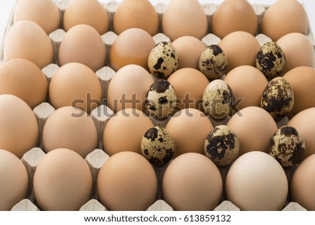 Background of chicken and quail eggs in a cardboard tray.