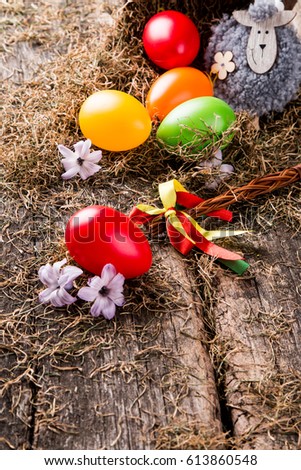 Easter eggs on wooden background. Spring concept on plank. Color eggs with nature decoration. 