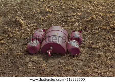 Piglets from a barrel