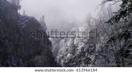 Foggy view of the Marienbrücke or Mary's Bridge over the Pollat Gorge at Neuschwanstein Castle in Hohenschwangau in Bavaria, Germany. Taken in winter, showing the surrounding forest.