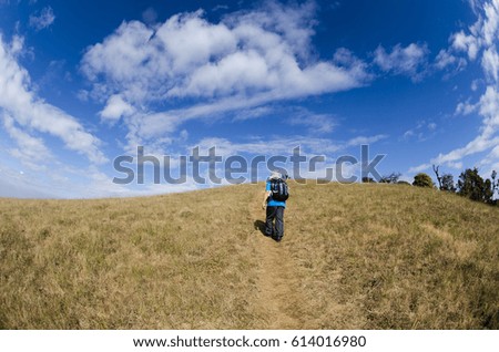 Golden grass on the mountain and Blue sky with white clouds.