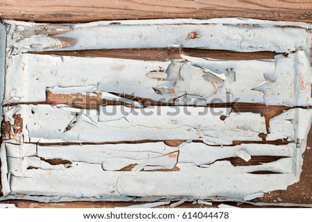Old paint on a wooden door