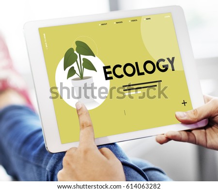 Ecology Environment Green Natural Plants