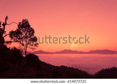Morning fog with row of mountains in vintage tone. Forested mountain slope in low lying cloud with the evergreen conifers shrouded in mist in a scenic landscape view.