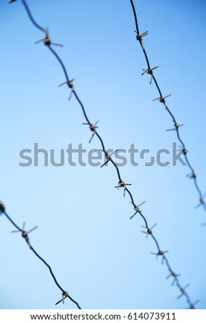 Barbed wire fence on  the blue sky. Blured edges