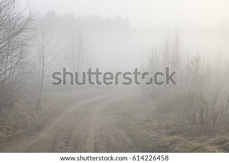 Mystical Morning fog