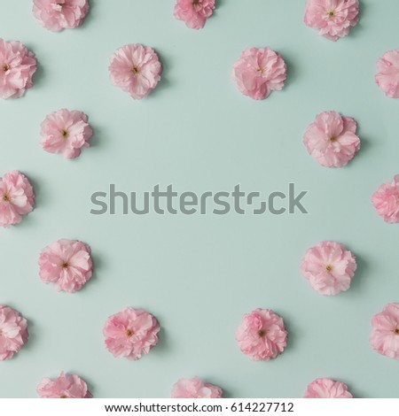 Pink flower pattern on blue pastel background. Minimal spring concept. Flat lay.