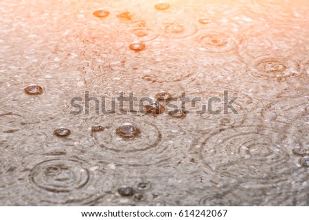 large drops of rain on the surface of the water