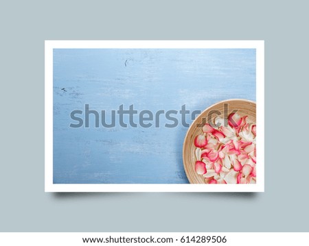 Petals of white and pink roses on blue painted rustic background. Fresh natural flowers in bowl. Dirty grunge wooden board. Photo frame design with shadow.
