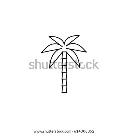 Summer vector line icon of tropical palm tree