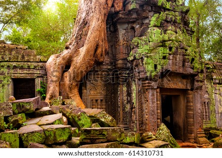 Ta Prohm temple. Ancient Khmer architecture under the giant roots of a tree at Angkor Wat complex, Siem Reap, Cambodia. Royalty-Free Stock Photo #614310731