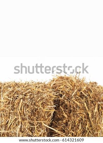 Vertical image bales of cereal straw on white background, agricultural background. Feed and litter for cows, horses, goats and sheep