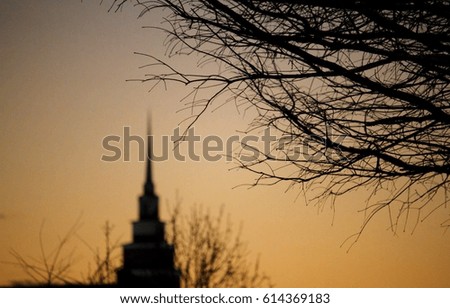 Twilight Sunset Tree with Church Steeple in the Background